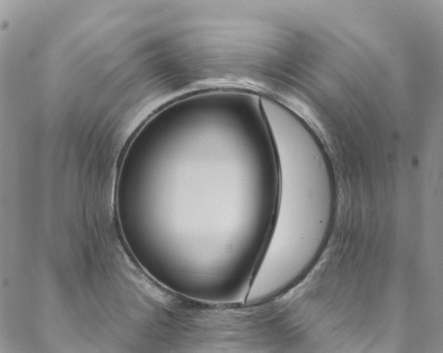 X0000088721228200705311414