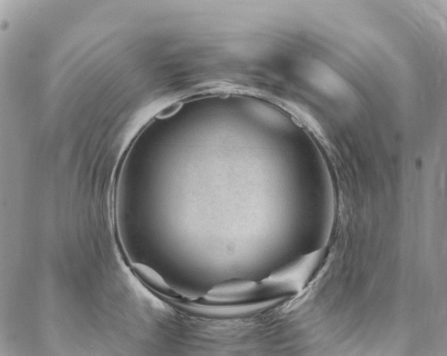 X0000088721247200705311415