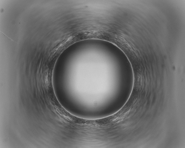 X0000088721250200705311414