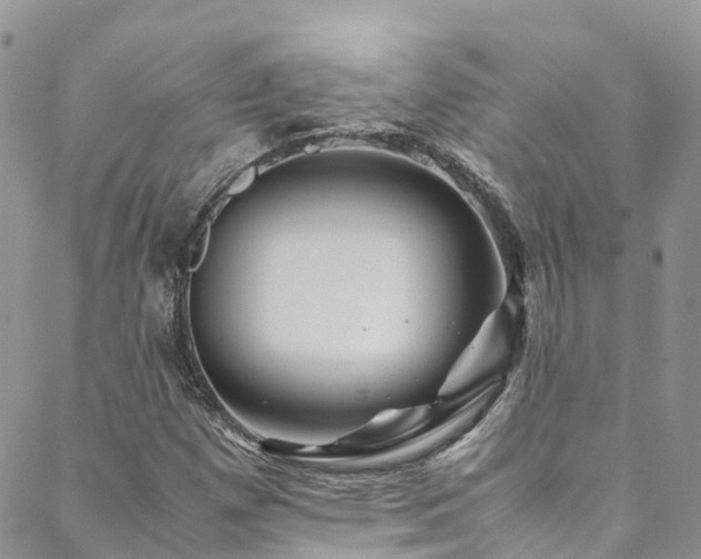 X0000088721257200705311414