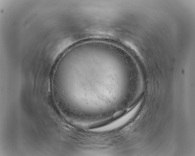 X0000088721267200705311414