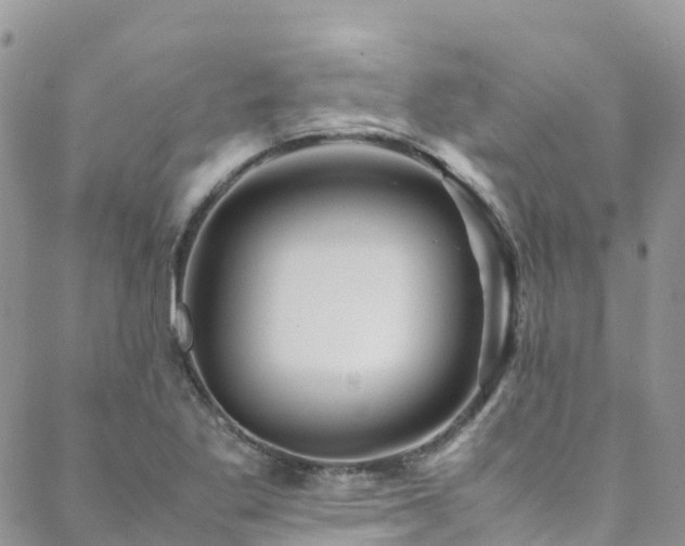 X0000088721269200705311414