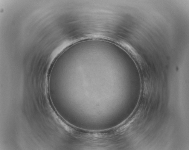 X0000088721286200705311413