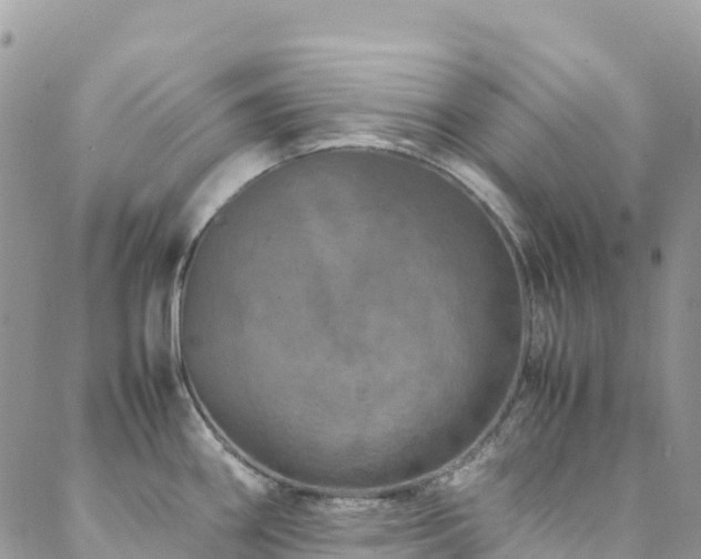 X0000088721290200705311413