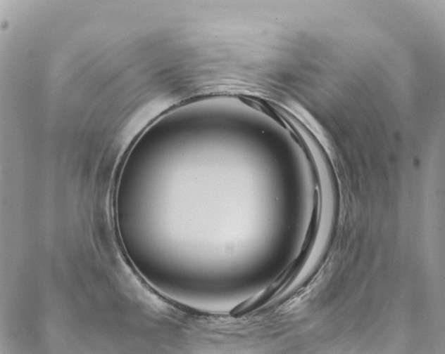 X0000088721293200705311413