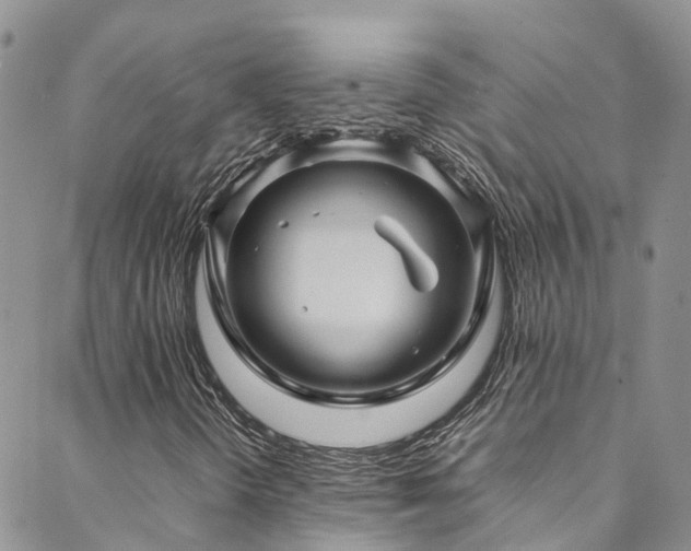X0000088721298200705311412