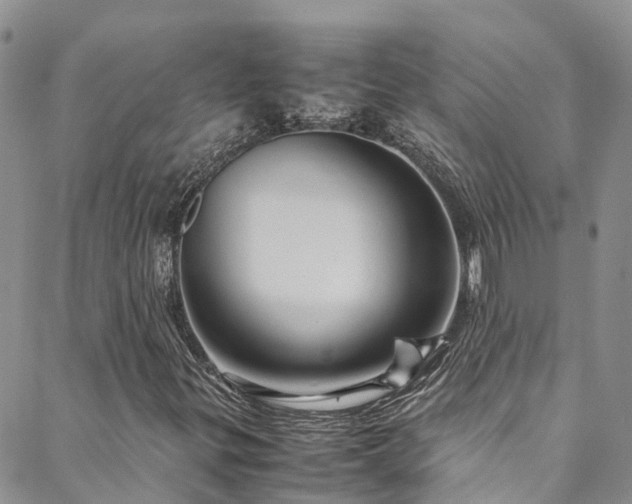 X0000088721299200705311412