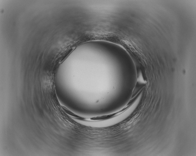 X0000088721300200705311412