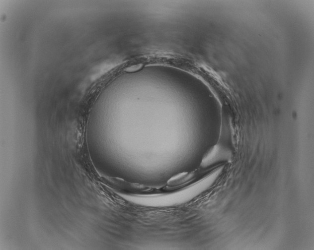 X0000088721303200705311412