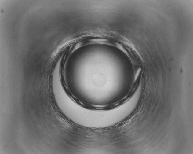 X0000088721304200705311412