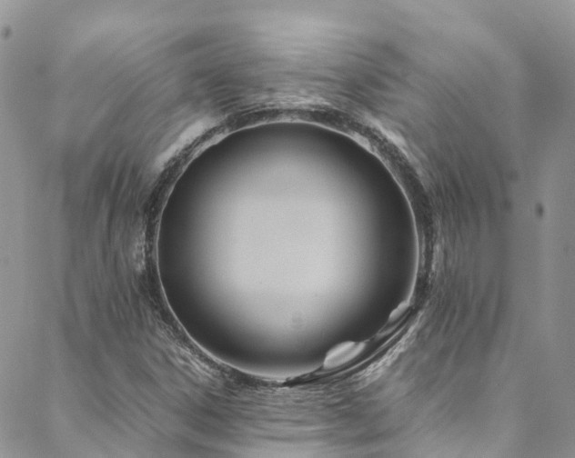 X0000088721306200705311412