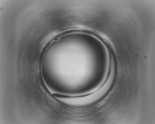 X0000088721318200705311413