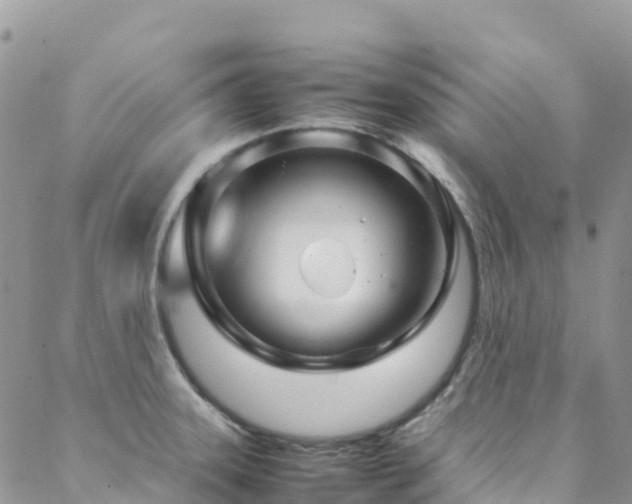 X0000088721331200705311413