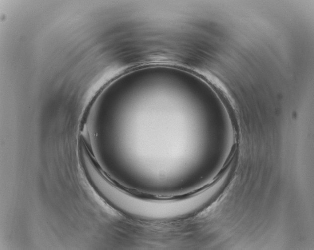 X0000088721333200705311413