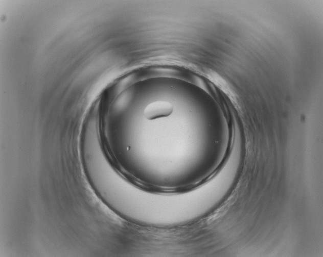 X0000088721334200705311413
