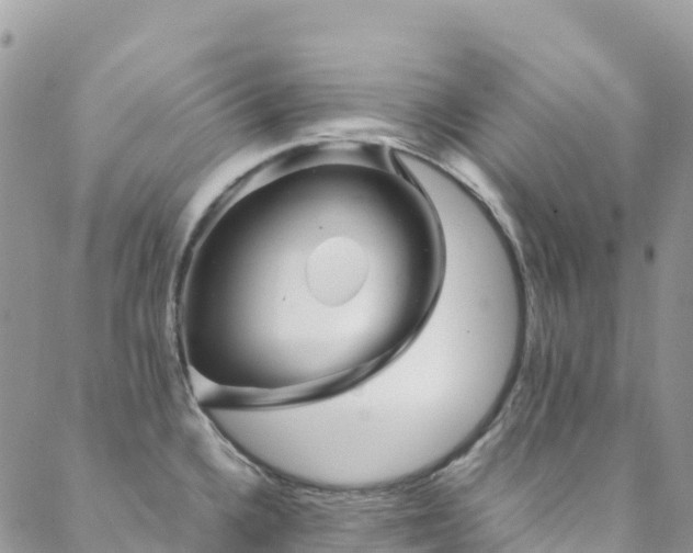 X0000088721336200705311413