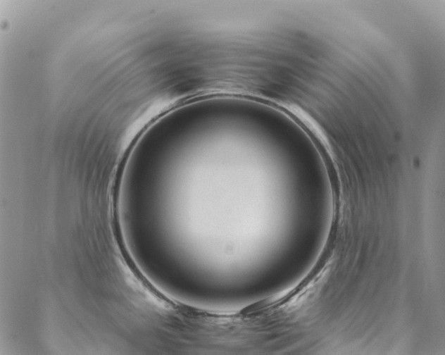 X0000088721341200705311413