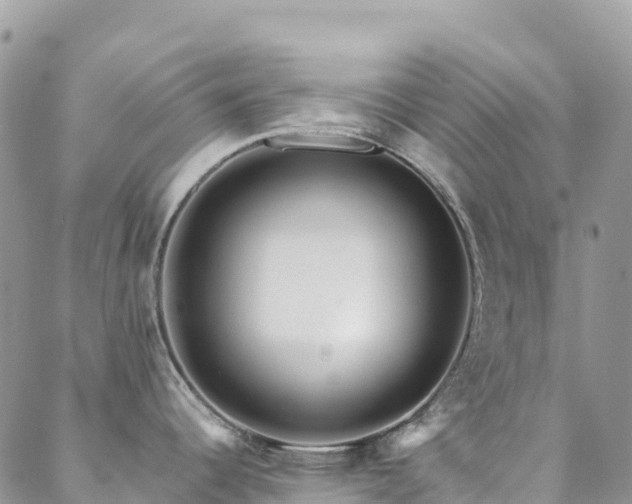 X0000088721344200705311413