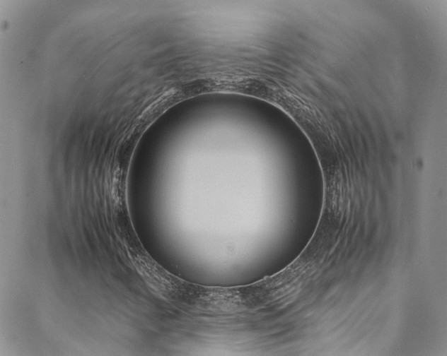 X0000088721346200705311412