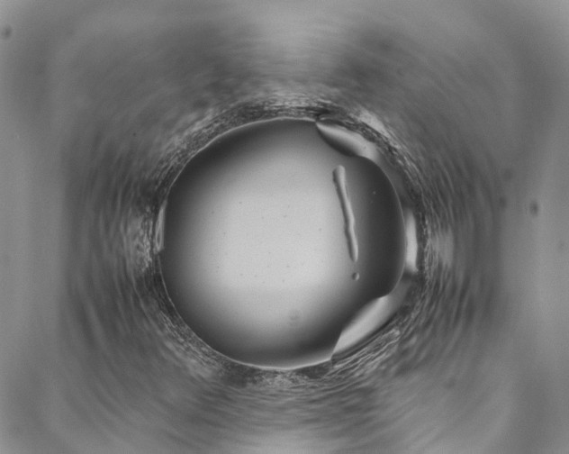 X0000088721348200705311412