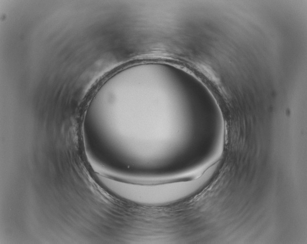 X0000088721356200705311412