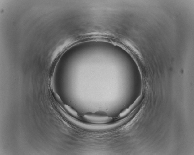 X0000088721357200705311412