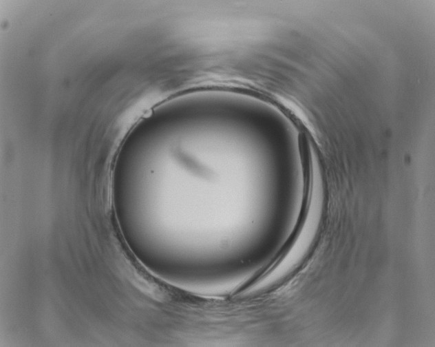 X0000088721371200705311412