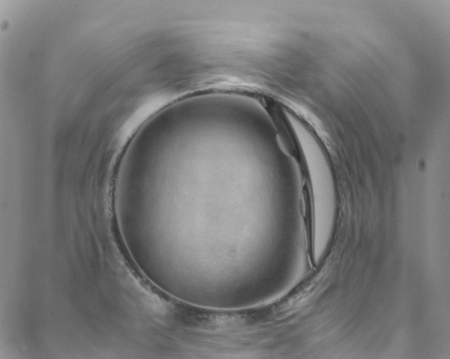 X0000088721375200705311412