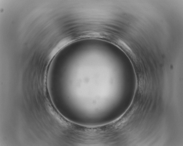 X0000088721378200705311412