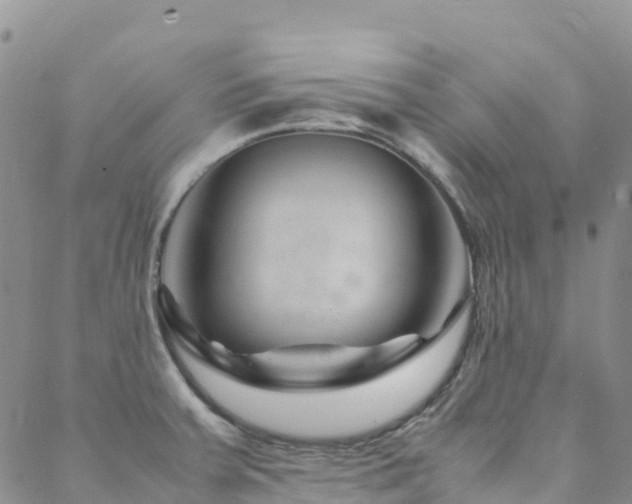 X0000088721379200705311412