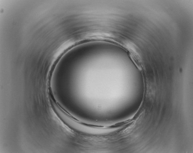 X0000088721384200705311412