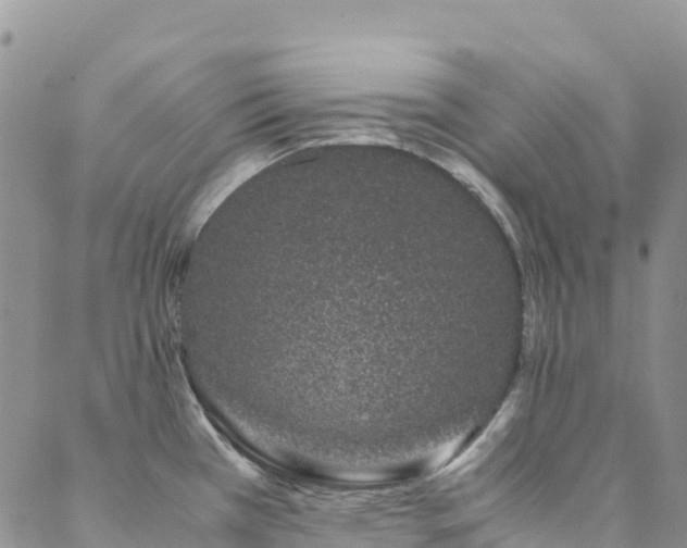 X0000088721385200705311412