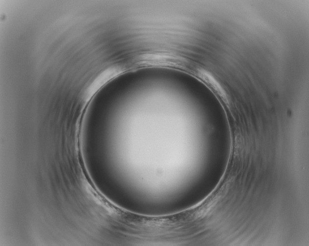 X0000088721386200705311412