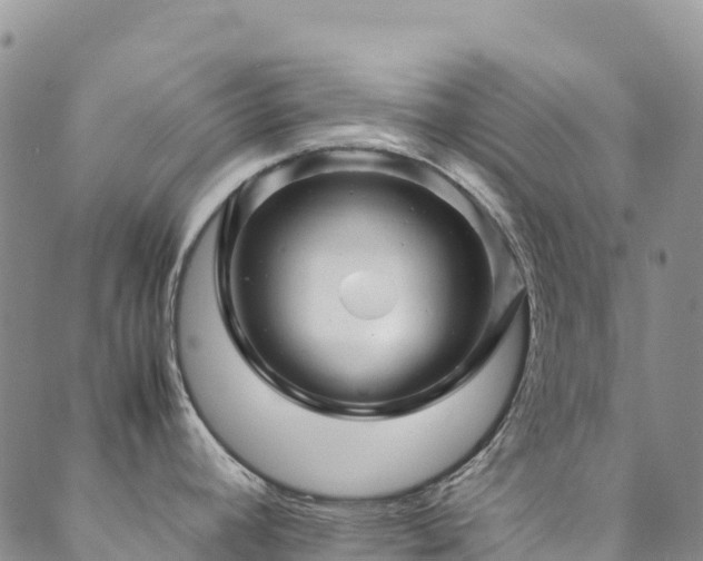 X0000088721392200705311412