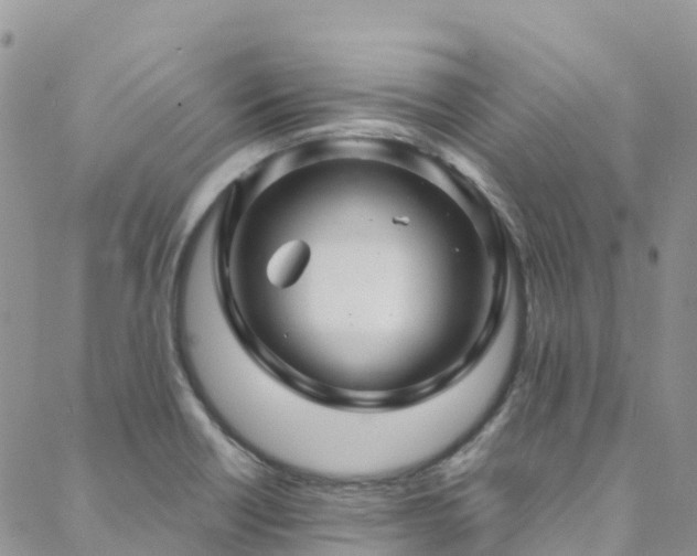 X0000088721418200705311411