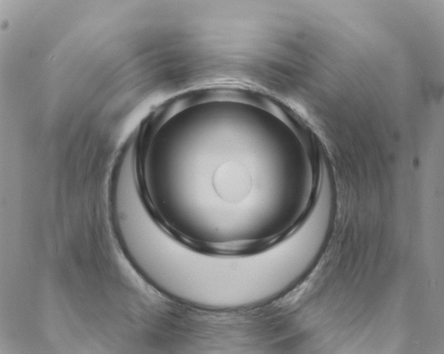 X0000088721422200705311411