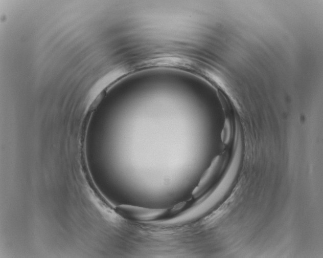 X0000088721426200705311411