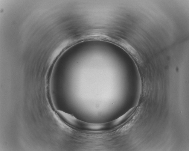 X0000088721430200705311411