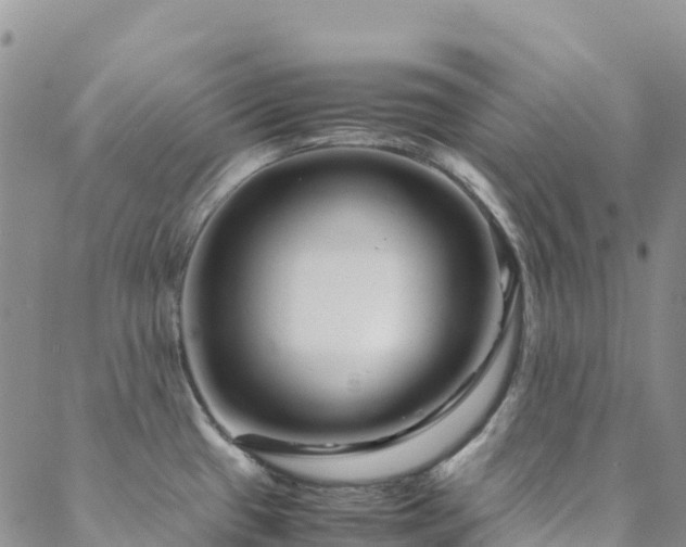 X0000088721433200705311411