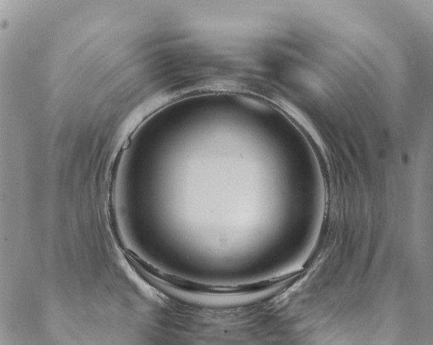 X0000088721437200705311411