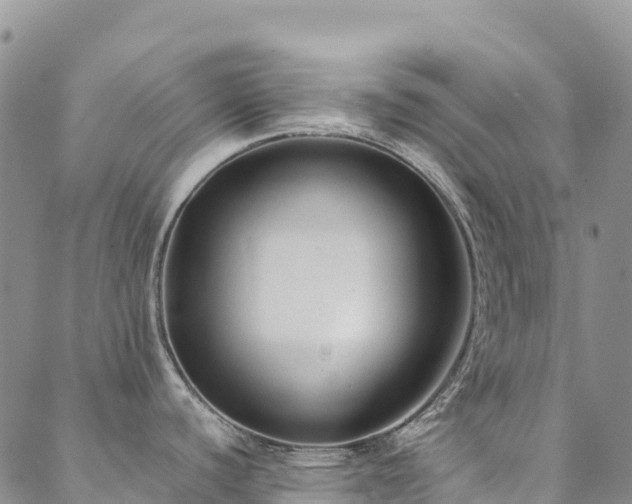 X0000088721440200705311412