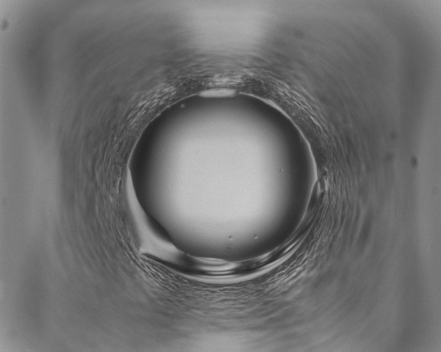 X0000088721441200705311411