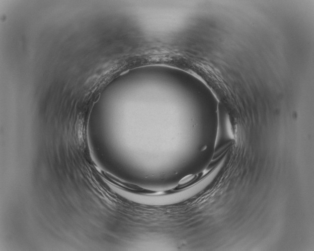 X0000088721444200705311411