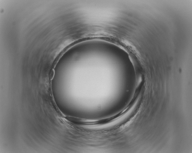 X0000088721457200705311410