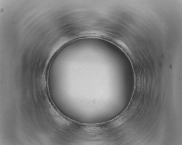 X0000088721466200705311410
