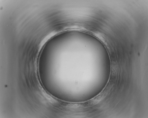 X0000088721474200705311410