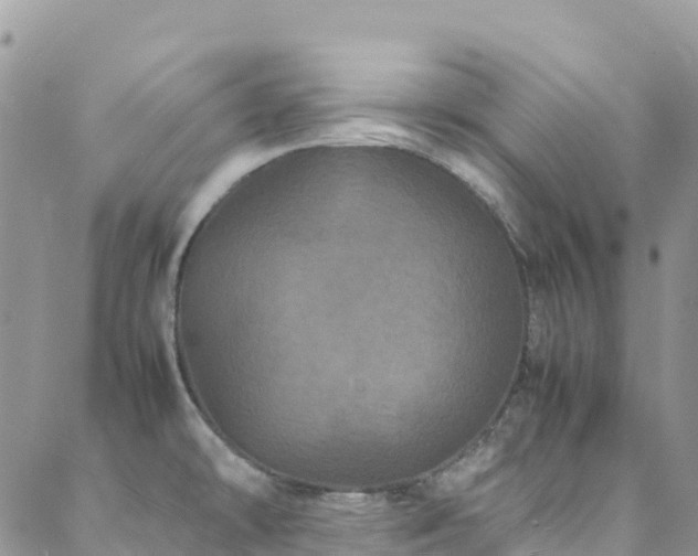 X0000088721478200705311410