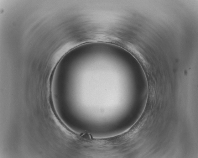 X0000088721479200705311410