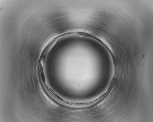 X0000088721484200705311410
