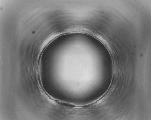X0000088721486200705311410